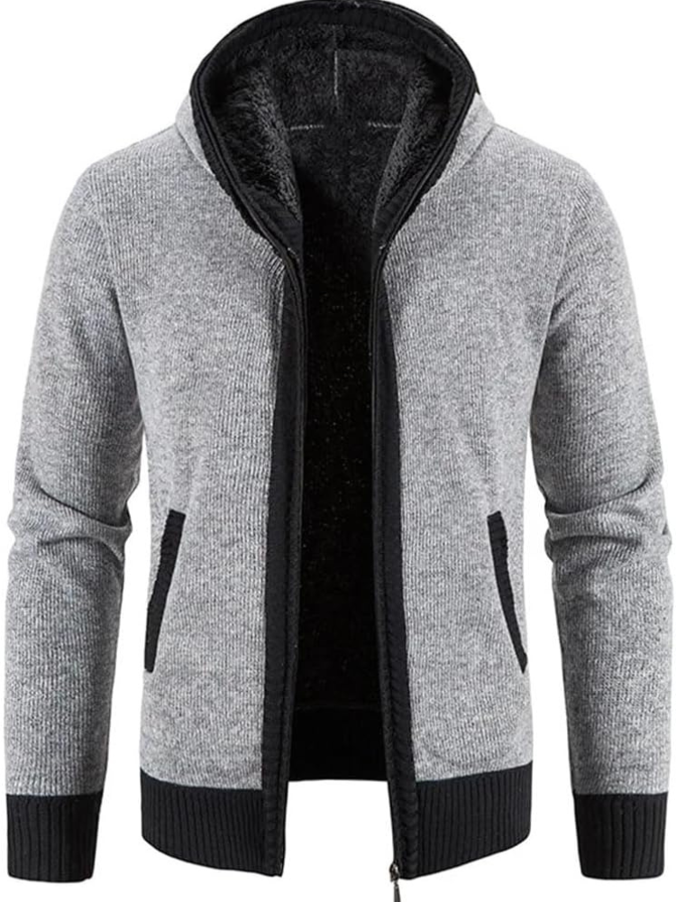 Hans - Men's Winter Hooded Zip Jacket in Solid Light Grey